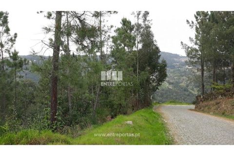 Helårsgrund i Ancede e Ribadouro, Porto, Ancede e Ribadouro - € 17.000 | Ref: MC08939 - foto 1