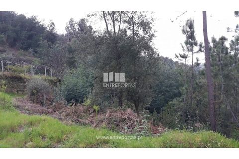 Helårsgrund i Ancede e Ribadouro, Porto, Ancede e Ribadouro - € 17.000 | Ref: MC08939 - foto 2