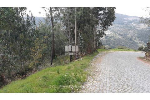 Helårsgrund i Ancede e Ribadouro, Porto, Ancede e Ribadouro - € 17.000 | Ref: MC08939 - foto 3