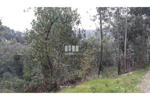 Helårsgrund i Ancede e Ribadouro, Porto, Ancede e Ribadouro - € 17.000 | Ref: MC08939 - foto 4