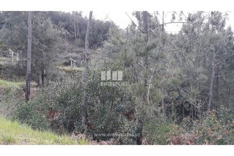 Helårsgrund i Ancede e Ribadouro, Porto, Ancede e Ribadouro - € 17.000 | Ref: MC08939 - foto 6