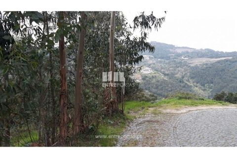 Helårsgrund i Ancede e Ribadouro, Porto, Ancede e Ribadouro - € 17.000 | Ref: MC08939 - foto 7