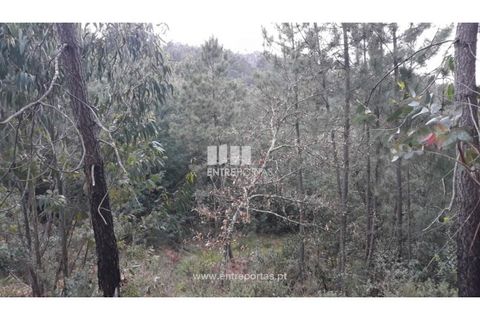 Helårsgrund i Ancede e Ribadouro, Porto, Ancede e Ribadouro - € 17.000 | Ref: MC08939 - foto 10