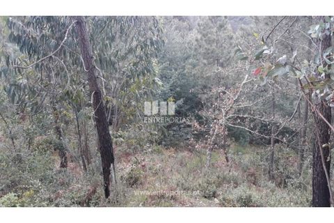 Helårsgrund i Ancede e Ribadouro, Porto, Ancede e Ribadouro - € 17.000 | Ref: MC08939 - foto 11