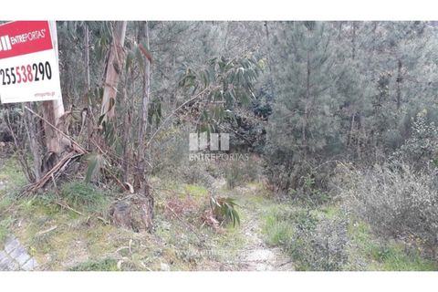 Helårsgrund i Ancede e Ribadouro, Porto, Ancede e Ribadouro - € 17.000 | Ref: MC08939 - foto 12