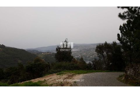 Helårsgrund i Ancede e Ribadouro, Porto, Ancede e Ribadouro - € 17.000 | Ref: MC08939 - foto 13