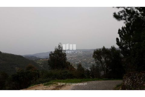 Helårsgrund i Ancede e Ribadouro, Porto, Ancede e Ribadouro - € 17.000 | Ref: MC08939 - foto 14