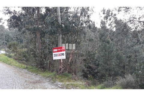 Helårsgrund i Ancede e Ribadouro, Porto, Ancede e Ribadouro - € 17.000 | Ref: MC08939 - foto 15