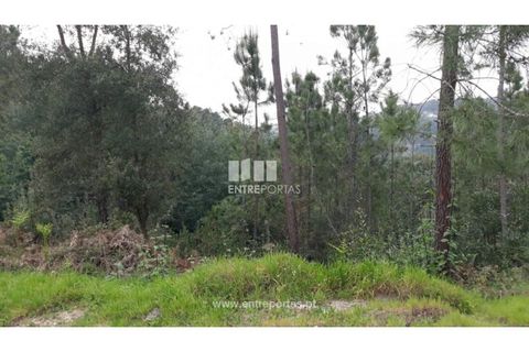 Helårsgrund i Ancede e Ribadouro, Porto, Ancede e Ribadouro - € 17.000 | Ref: MC08939 - foto 16