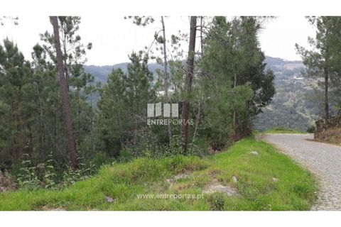 Helårsgrund i Ancede e Ribadouro, Porto, Ancede e Ribadouro - € 17.000 | Ref: MC08939 - foto 17