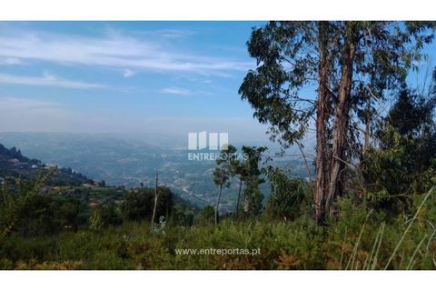 Helårsgrund i Cinfaes, Viseu, Cinfaes - € 25.000 | Ref: MC08997 - foto 1