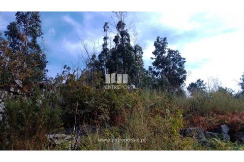 Helårsgrund i Cinfaes, Viseu, Cinfaes - € 25.000 | Ref: MC08997 - foto 2