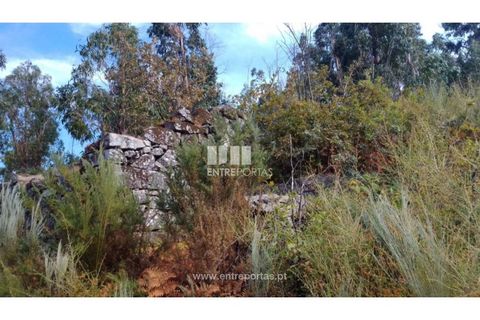 Helårsgrund i Cinfaes, Viseu, Cinfaes - € 25.000 | Ref: MC08997 - foto 3