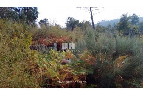 Helårsgrund i Cinfaes, Viseu, Cinfaes - € 25.000 | Ref: MC08997 - foto 4