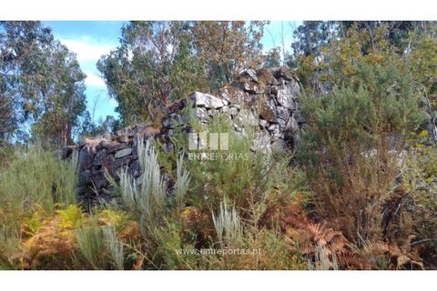 Helårsgrund i Cinfaes, Viseu, Cinfaes - € 25.000 | Ref: MC08997 - foto 6