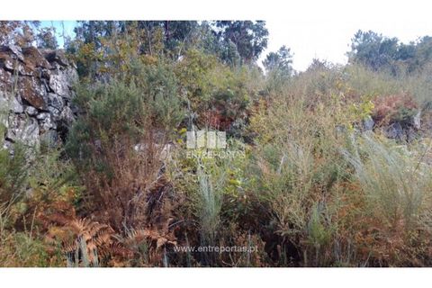 Helårsgrund i Cinfaes, Viseu, Cinfaes - € 25.000 | Ref: MC08997 - foto 7