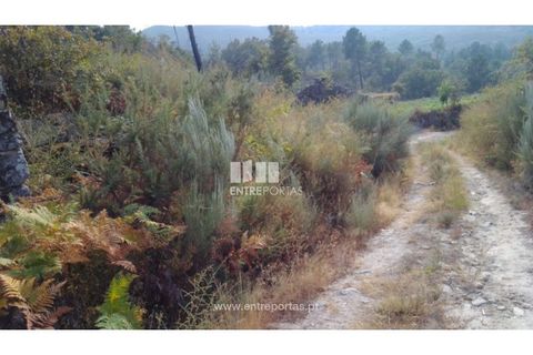 Helårsgrund i Cinfaes, Viseu, Cinfaes - € 25.000 | Ref: MC08997 - foto 8