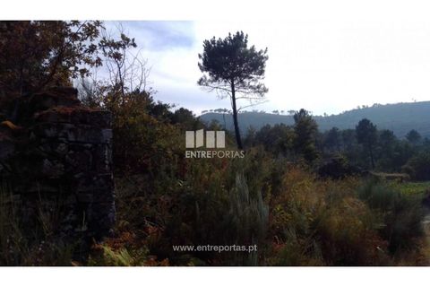 Helårsgrund i Cinfaes, Viseu, Cinfaes - € 25.000 | Ref: MC08997 - foto 9