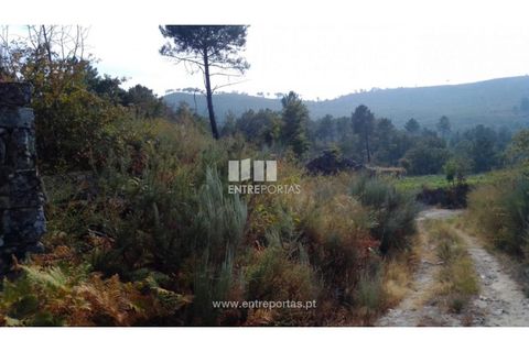 Helårsgrund i Cinfaes, Viseu, Cinfaes - € 25.000 | Ref: MC08997 - foto 10