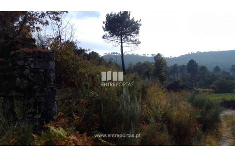 Helårsgrund i Cinfaes, Viseu, Cinfaes - € 25.000 | Ref: MC08997 - foto 11