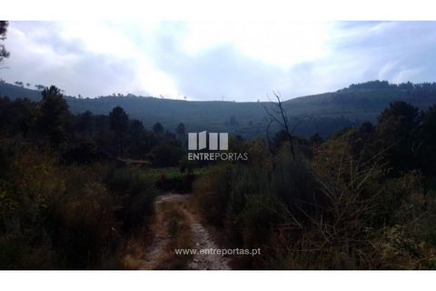 Helårsgrund i Cinfaes, Viseu, Cinfaes - € 25.000 | Ref: MC08997 - foto 12