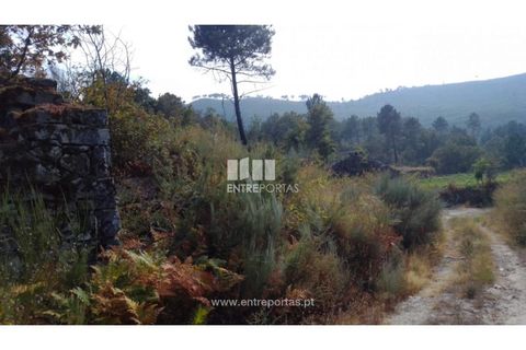 Helårsgrund i Cinfaes, Viseu, Cinfaes - € 25.000 | Ref: MC08997 - foto 13