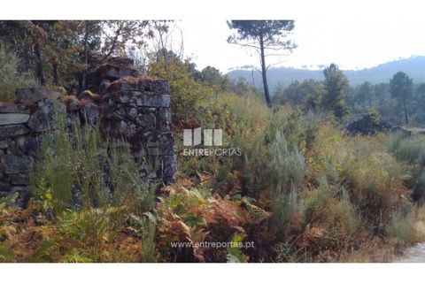 Helårsgrund i Cinfaes, Viseu, Cinfaes - € 25.000 | Ref: MC08997 - foto 14
