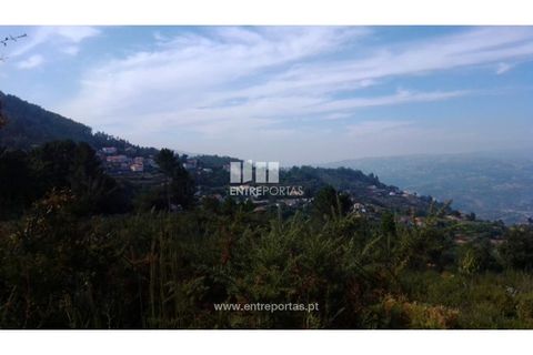 Helårsgrund i Cinfaes, Viseu, Cinfaes - € 25.000 | Ref: MC08997 - foto 15