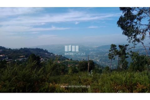 Helårsgrund i Cinfaes, Viseu, Cinfaes - € 25.000 | Ref: MC08997 - foto 16