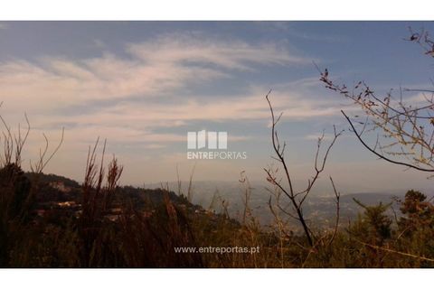 Helårsgrund i Cinfaes, Viseu, Cinfaes - € 25.000 | Ref: MC08997 - foto 17