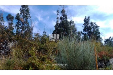 Helårsgrund i Cinfaes, Viseu, Cinfaes - € 25.000 | Ref: MC08997 - foto 18