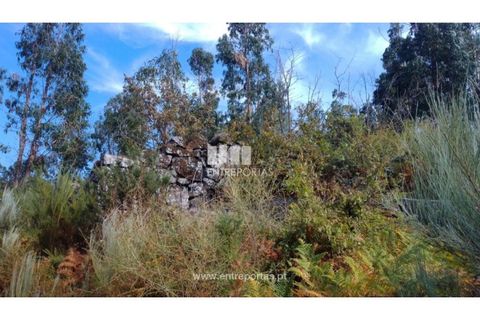Helårsgrund i Cinfaes, Viseu, Cinfaes - € 25.000 | Ref: MC08997 - foto 19