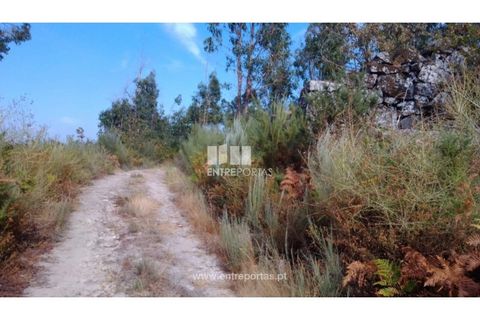 Helårsgrund i Cinfaes, Viseu, Cinfaes - € 25.000 | Ref: MC08997 - foto 20