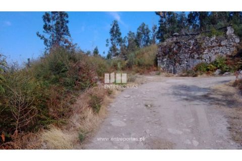 Helårsgrund i Cinfaes, Viseu, Cinfaes - € 25.000 | Ref: MC08997 - foto 23