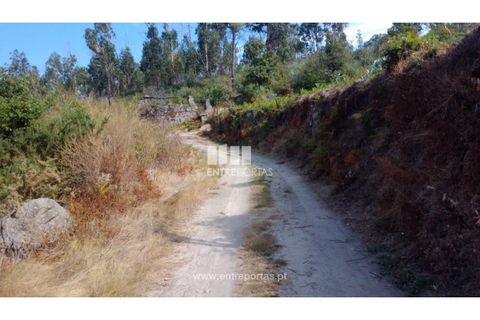 Helårsgrund i Cinfaes, Viseu, Cinfaes - € 25.000 | Ref: MC08997 - foto 24