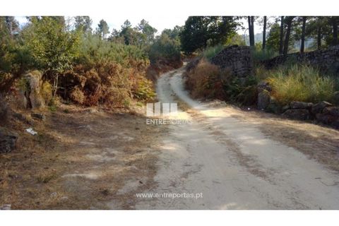 Helårsgrund i Cinfaes, Viseu, Cinfaes - € 25.000 | Ref: MC08997 - foto 25