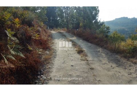Helårsgrund i Cinfaes, Viseu, Cinfaes - € 25.000 | Ref: MC08997 - foto 26