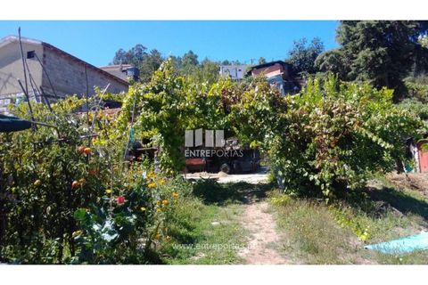 Helårsgrund i Souselo, Viseu, Souselo - € 82.000 | Ref: MC09005 - foto 6