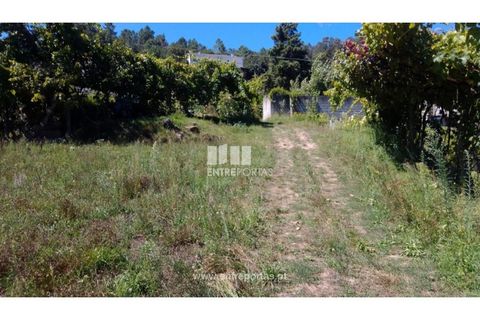 Helårsgrund i Souselo, Viseu, Souselo - € 82.000 | Ref: MC09005 - foto 7