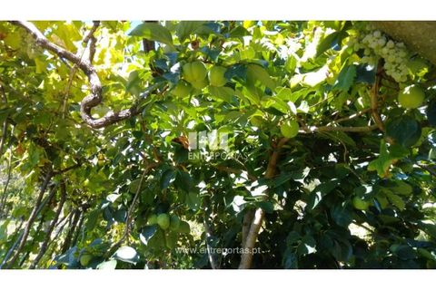 Helårsgrund i Souselo, Viseu, Souselo - € 82.000 | Ref: MC09005 - foto 9