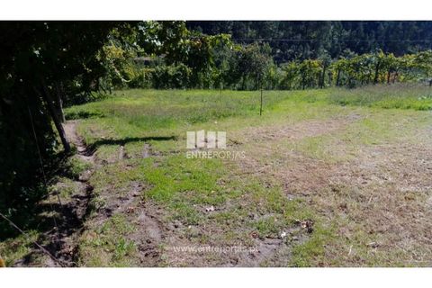 Helårsgrund i Souselo, Viseu, Souselo - € 82.000 | Ref: MC09005 - foto 10