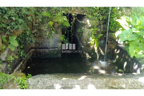 Helårsgrund i Souselo, Viseu, Souselo - € 82.000 | Ref: MC09005 - foto 12