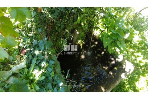 Helårsgrund i Souselo, Viseu, Souselo - € 82.000 | Ref: MC09005 - foto 13