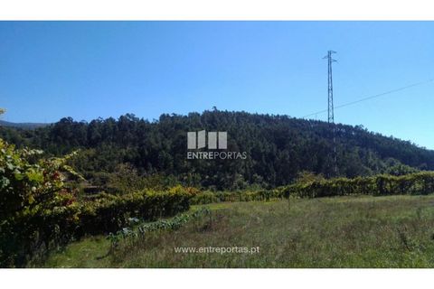 Helårsgrund i Souselo, Viseu, Souselo - € 82.000 | Ref: MC09005 - foto 14