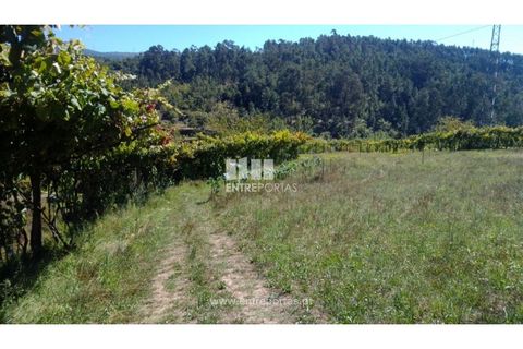 Helårsgrund i Souselo, Viseu, Souselo - € 82.000 | Ref: MC09005 - foto 15