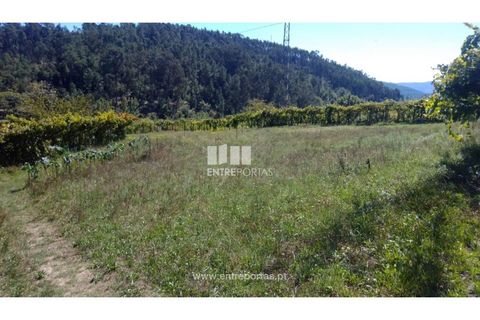 Helårsgrund i Souselo, Viseu, Souselo - € 82.000 | Ref: MC09005 - foto 16