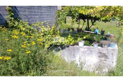Helårsgrund i Souselo, Viseu, Souselo - € 82.000 | Ref: MC09005 - foto 18