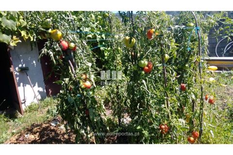 Helårsgrund i Souselo, Viseu, Souselo - € 82.000 | Ref: MC09005 - foto 21