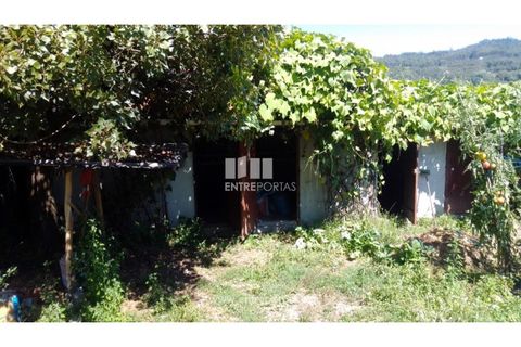 Helårsgrund i Souselo, Viseu, Souselo - € 82.000 | Ref: MC09005 - foto 22