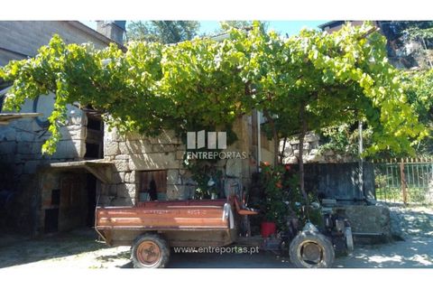Helårsgrund i Souselo, Viseu, Souselo - € 82.000 | Ref: MC09005 - foto 26